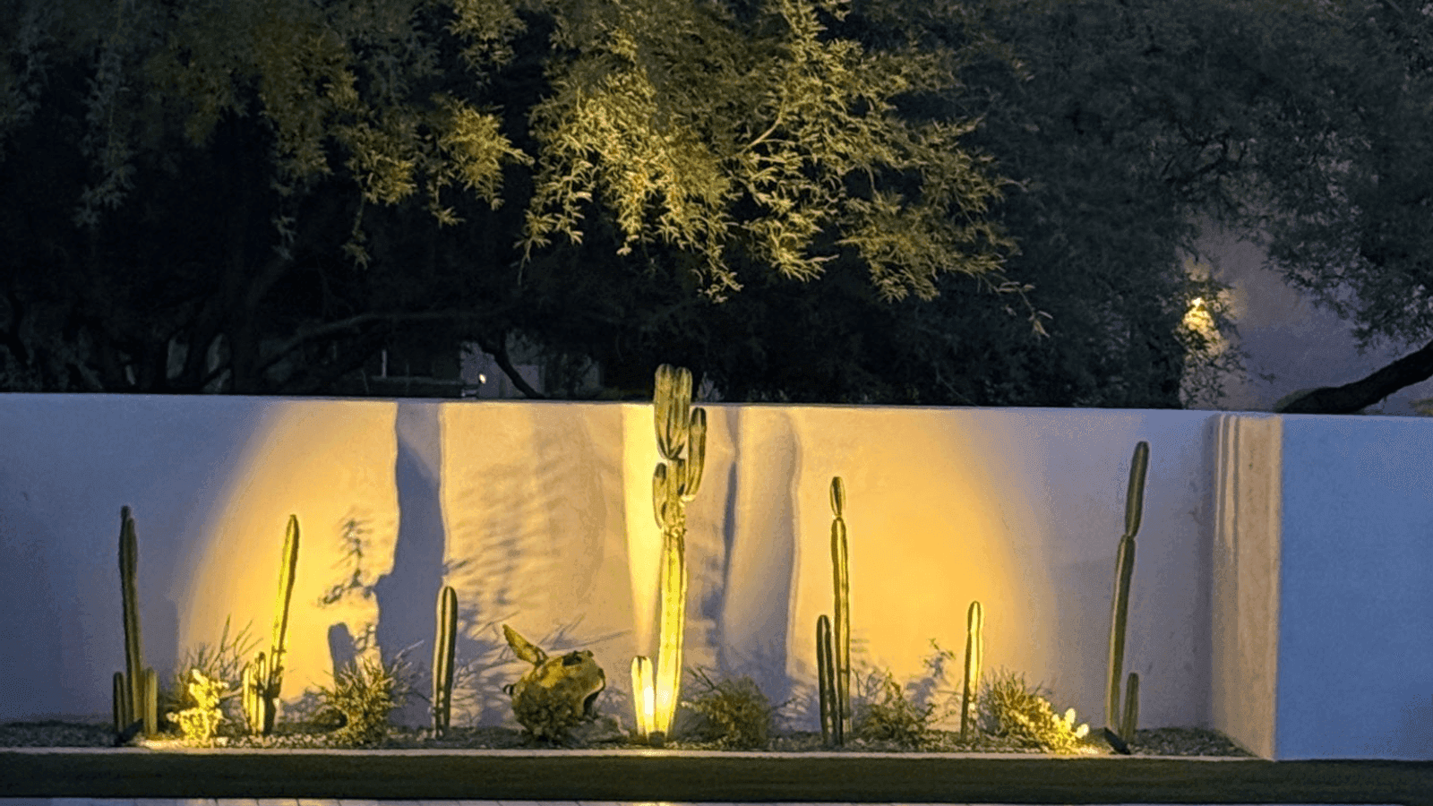 A reflecting pool at twilight, lit cacti and the Catalinas beyond.